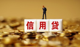 成都温江区哪里可以民间借贷-成都温江区私人借钱当天拿钱-成都温江区贷款联系电话